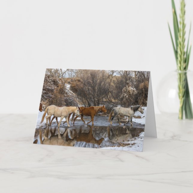 Tarjeta Hideout Horse Ranch (Anverso)