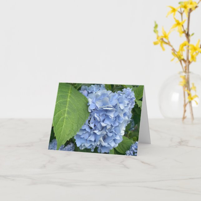 Tarjeta Hidrangea Azul (Hydrangea macrophylla) (flor amarilla)