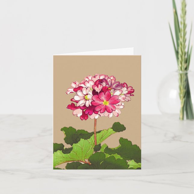 Tarjeta Hidrangea japonesa vintage. Rosa y Verde (Anverso)