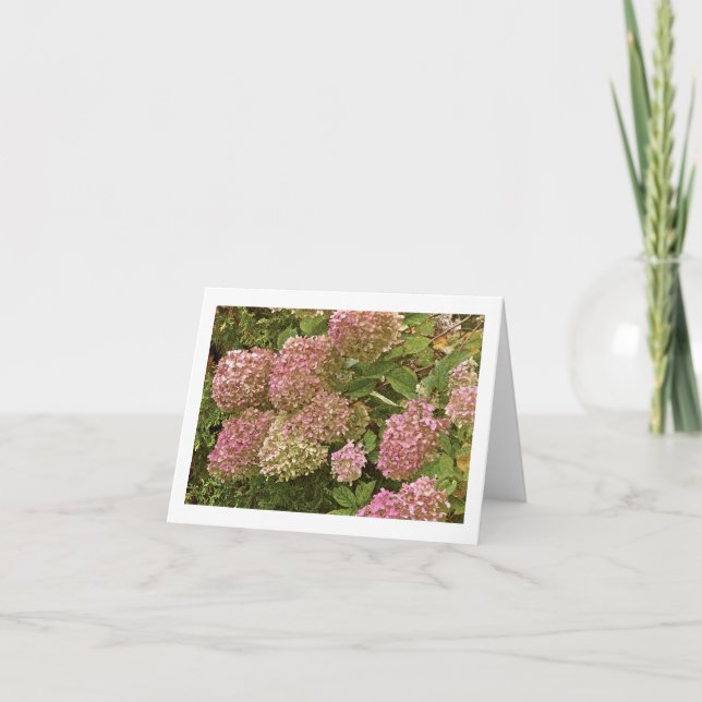 TARJETA "HIDRANGEA" NOTECARD (Anverso)