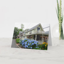 Hidrangeas en la esquina - Viñedo de Martha