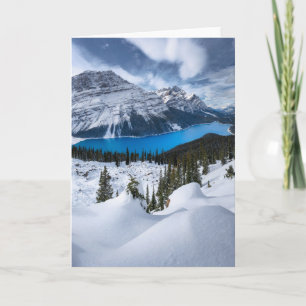 Tarjeta Hielo y nieve Lago Peyto, Rockies Canadienses