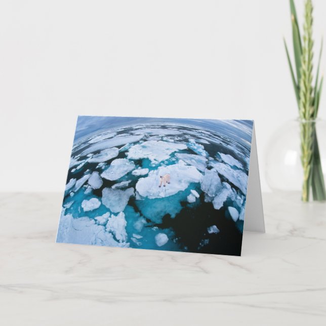 Tarjeta Hielo y nieve | Oso Polar, Océano Ártico, Svalbard (Anverso)