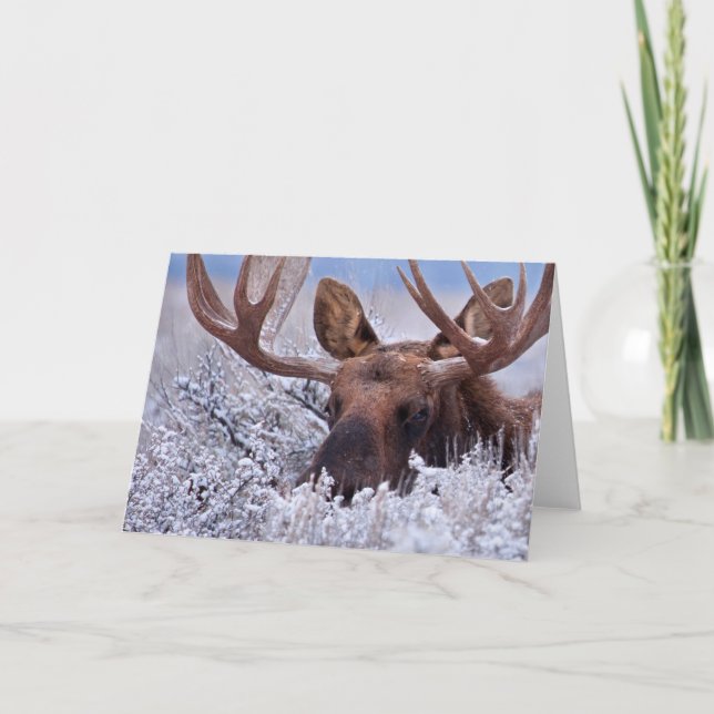 Tarjeta Hielo y nieve | Parque nacional del Gran Tetón, Wy (Anverso)