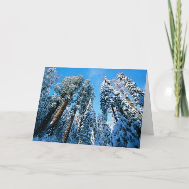 Tarjeta Hielo y nieve | Parque nacional Sequoia, Californi (Anverso)
