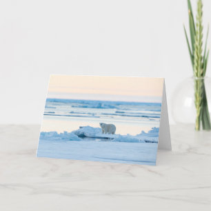 Tarjeta Hielo y nieve   Polar Bear Iceberg Noruega