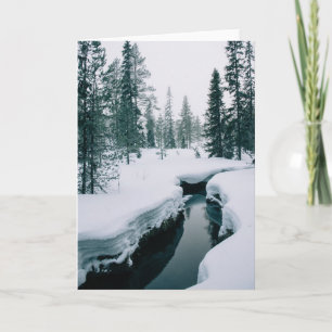 Tarjeta Hielo y nieve   Secuencia en un paisaje invernal n