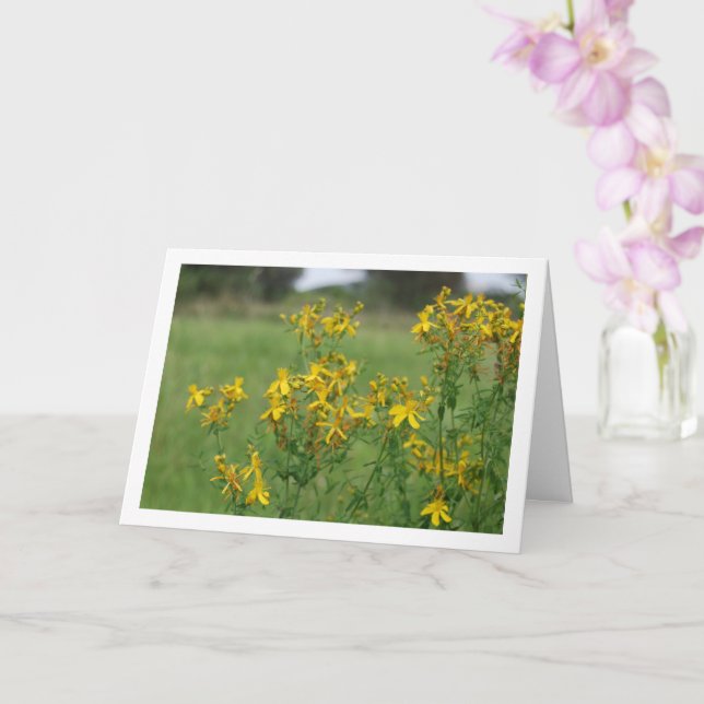 Tarjeta Hierba de San Juan Perforada en Flor (Orquídea)