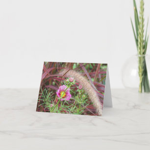 Tarjeta Hierba ornamental de otoño y cosmos rosas