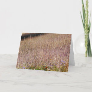 Tarjeta Hierba Púrpura y Flores Silvestres