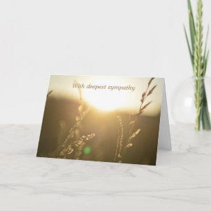 Tarjeta Hierbas en la luz del sol  -  Con el más profundo 