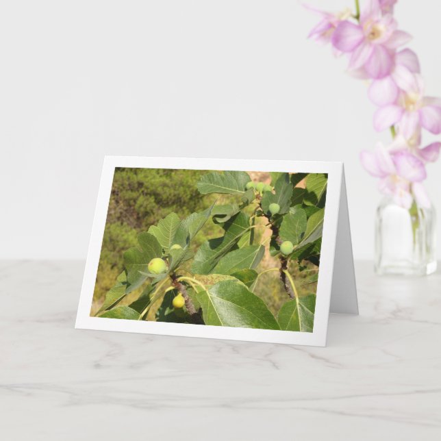Tarjeta Higos blancos en retrato de árbol (Orquídea)