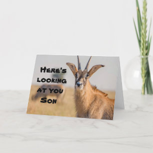 TARJETA *HIJO* AQUÍ ESTÁ MIRANDO EL DESEO DEL "DÍA DEL PAD