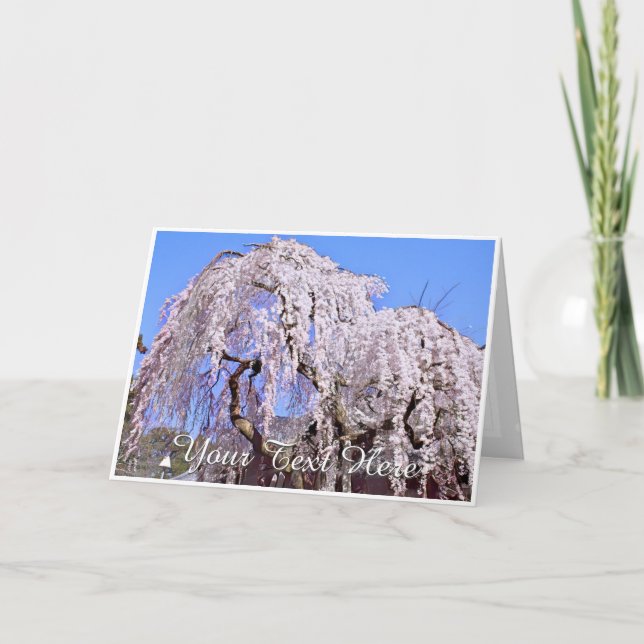 Tarjeta Himuro Shrine (Anverso)