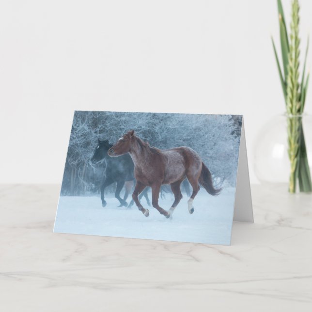 Tarjeta Hípica (Anverso)