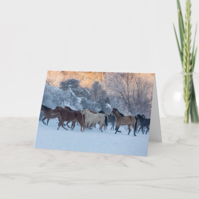 Tarjeta Hípica en invierno en Hideout Ranch (Anverso)