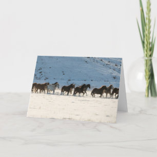 Tarjeta Hípica en invierno en Hideout Ranch