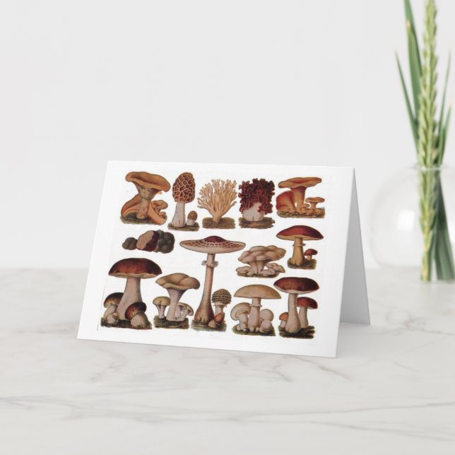 Tarjeta Hipster vegetariano steampunk setas vintage (Anverso)