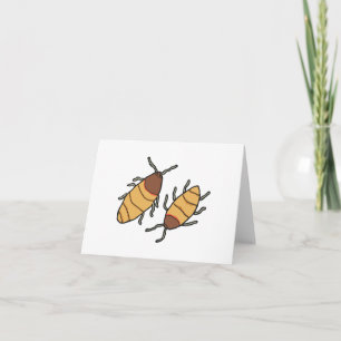 Tarjeta Hissing Cockroach