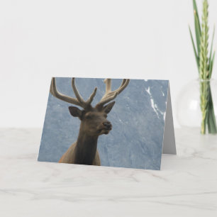 Tarjeta Hmmm, parece que se acerca un cumpleaños.