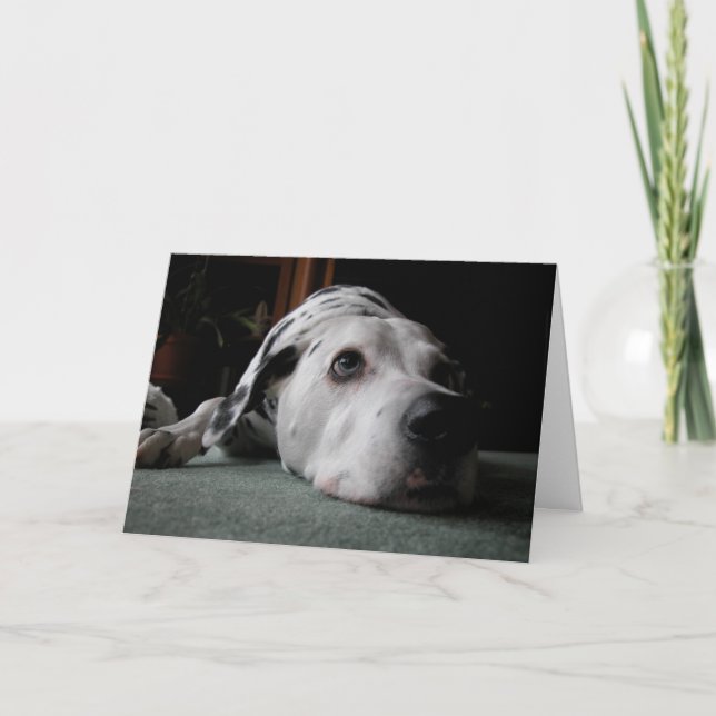 Tarjeta Ho cumpleaños del ronquido (Anverso)