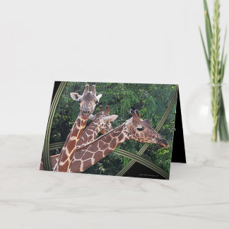 Tarjeta Hoffmans Hawaii