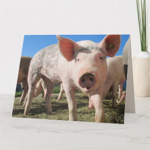 Tarjeta HOGS AND KISSES PIG LOVE Greeting Card