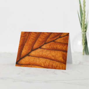 Tarjeta hoja de otoño naranja