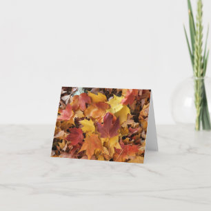 Tarjeta Hojas caídas de colores surtidos