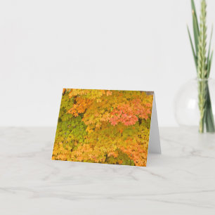 TARJETA HOJAS DE CAÍDA /LIME VERDE/TANGERINE/LEMON&MARIGOL
