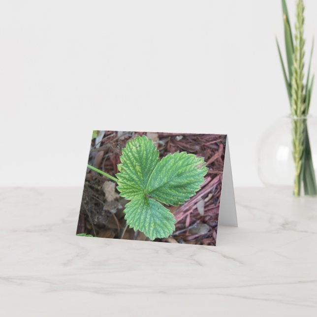 Tarjeta Hojas de fresa de textura (Anverso)