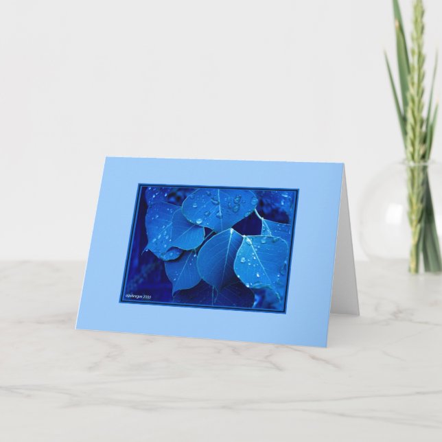 Tarjeta Hojas de invierno (Anverso)