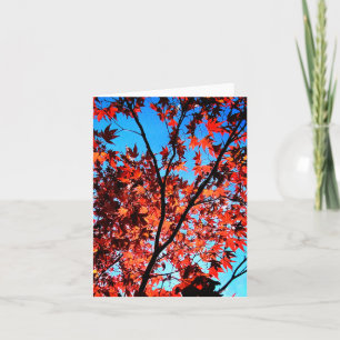 Tarjeta Hojas de otoño