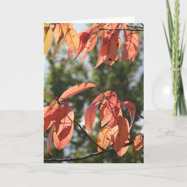 Tarjeta Hojas de Otoño (Anverso)