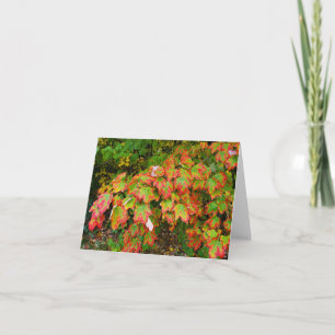 Tarjeta Hojas de otoño
