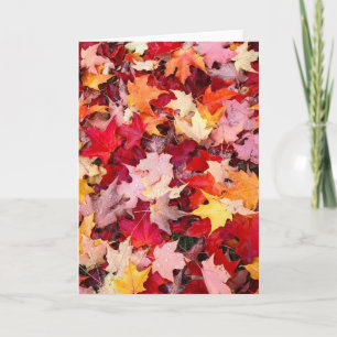 Tarjeta Hojas de otoño coloridas