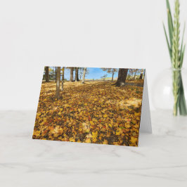 Tarjeta Hojas de otoño en Golden Hill
