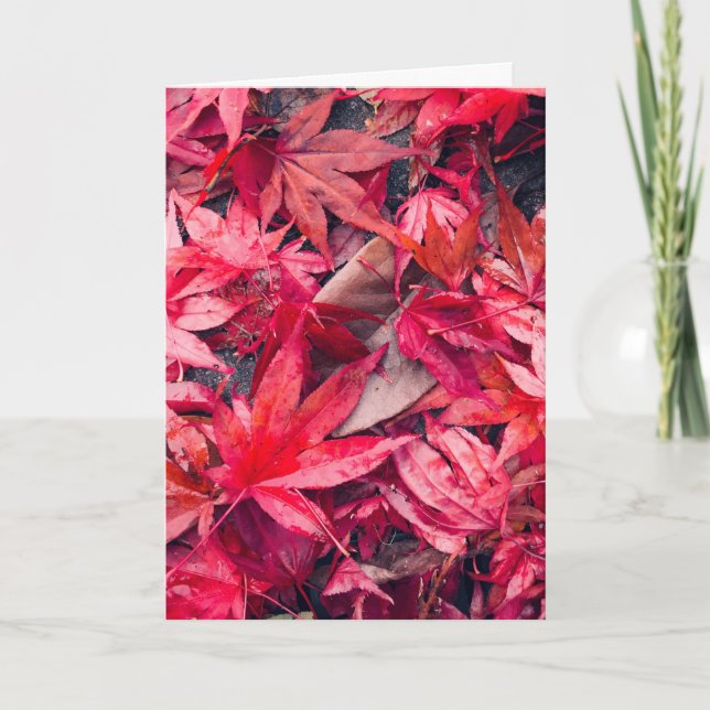 Tarjeta Hojas de otoño rojas (Anverso)