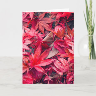 Tarjeta Hojas de otoño rojas