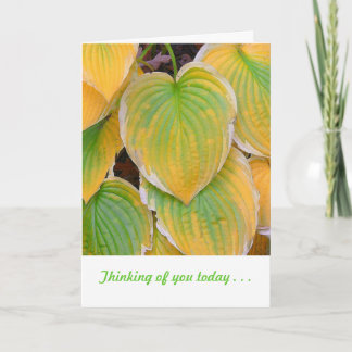 Tarjeta "Hojas De Plantas De Color Verde Marigold Y Lime