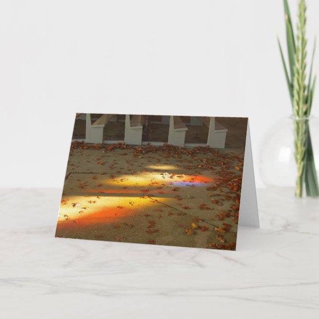 Tarjeta Hojas de tabernáculo y luz - Viñedo de Martha (Anverso)