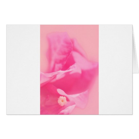 Tarjeta Hojas del Bougainvillea y primer rosados de la