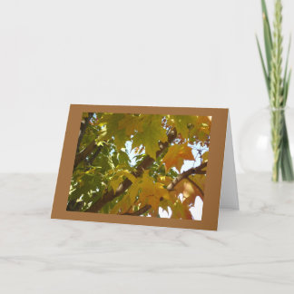 Tarjeta Hojas en un árbol