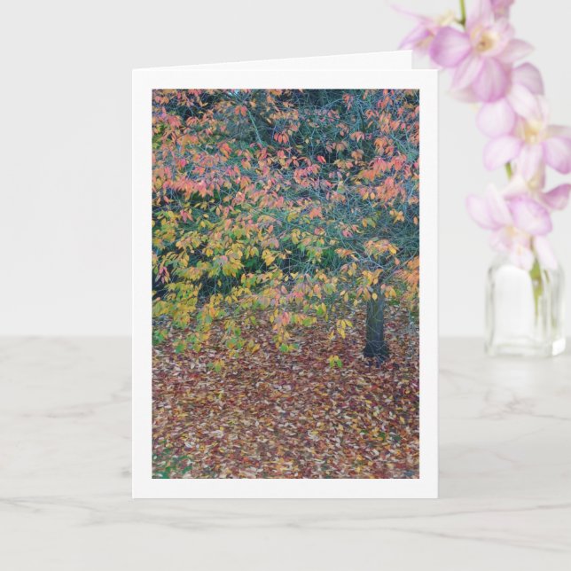 Tarjeta Hojas otoñales (Orquídea)