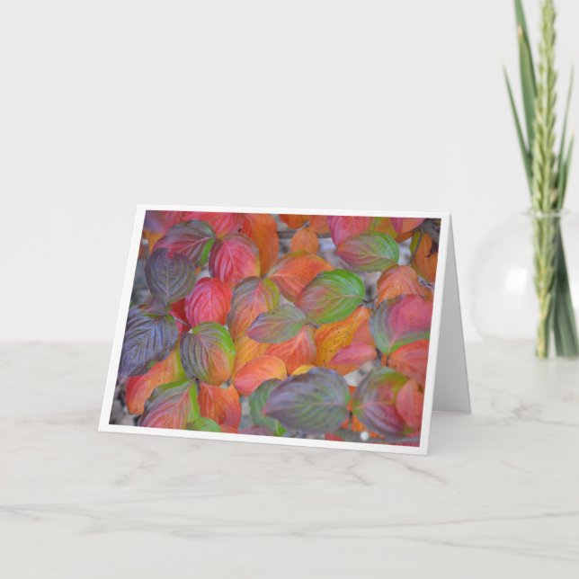 Tarjeta Hojas otoñales (Anverso)