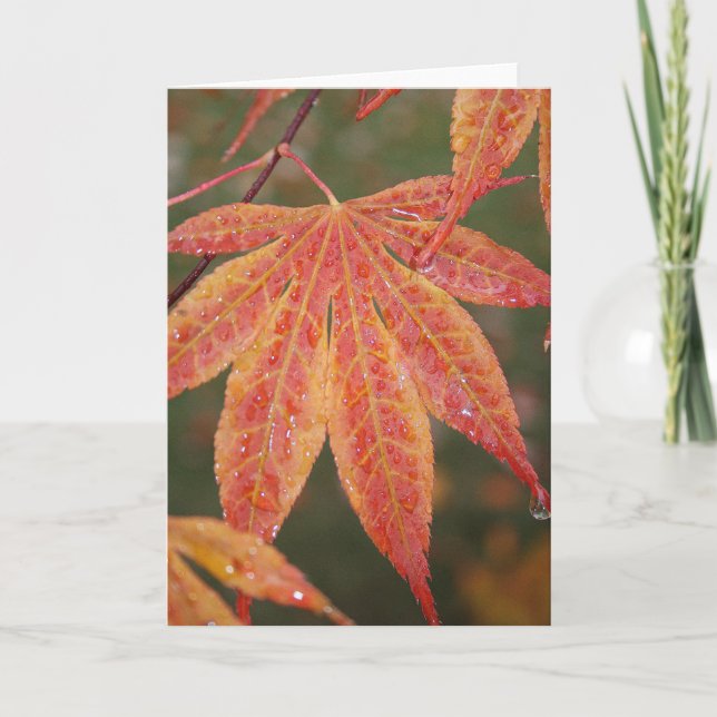 Tarjeta Hojas que relucir (Anverso)