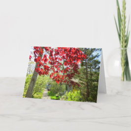 Tarjeta Hojas rojas y pasarela - Viñedo de Martha