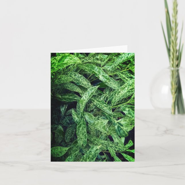 Tarjeta Hojas verdes (Anverso)