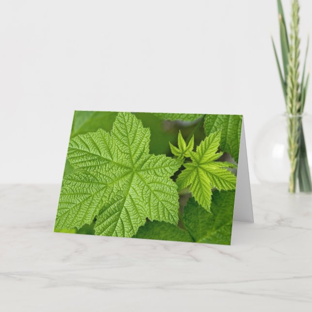 Tarjeta Hojas verdes (Anverso)