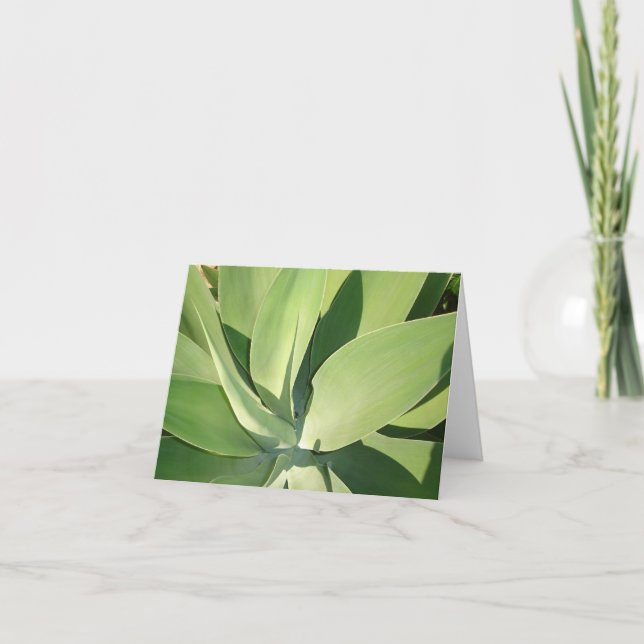 Tarjeta Hojas y sombras v2 (Anverso)